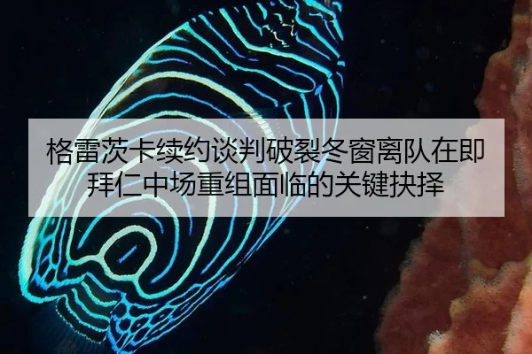 ge-lei-ci-ka-xu-yue-tan-pan-po-lie-dong-chuang-li-dui-zai-ji-bai-ren-zhong-chang-chong-zu-mian-lin-de-guan-jian-jue-ze-2-590.jpg